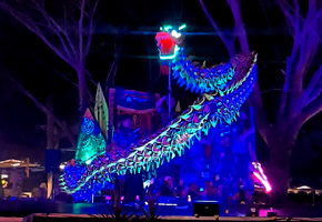 DANZA DEL DRAGÓN CON LED Y NEÓN