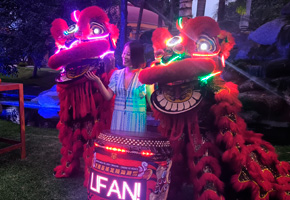 DANZA DEL LEÓN CHINO CON LEDS